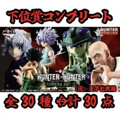 一番くじ HUNTER×HUNTER 下位賞コンプリート 全30種 合計30点