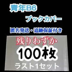 B6漫画青年TL女性BL クリアブックカバー 100枚