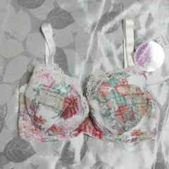 新品タグ付 アンテシュクレ ブラジャー F65 オカダヤ