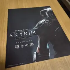 値下げ　スカイリム　Skyrim 　攻略本　洋書 2025年最新】スカイリム 攻略本の人気アイテム - メルカリ