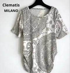 Clematisペイズリー柄 半袖トップスカットソーMサイズ