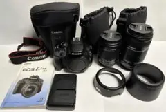 Item thumbnail for item 51661f84-4a73-42a3-9b2c-3845cabef2ea