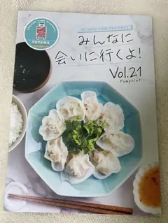 みんなに会いに行くよ！vol.21 みんあい パンフレット ブロマイド