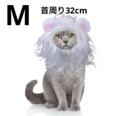 Item thumbnail for item a9413a8d-9e0e-42df-a774-8a8e16a9685d