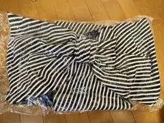 サッシュベルト