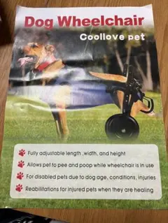 Item thumbnail for item de2ff736-7f1c-407e-bfd1-d5e5b91e7783