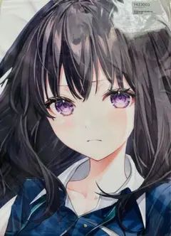 井ノ上たきな調 クッションカバー タペストリー ナチュラル版 新品未開封 猫猫調 クッションカバー タペストリー ナチュラル版 新品未開封