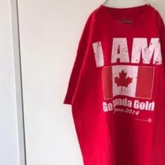 USA購入 vapor オーバーサイズ Tシャツ