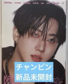 stray kids straykids チャンビン　新品未開封