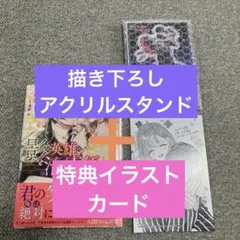 【特典2点つき】影の英雄の治癒係4