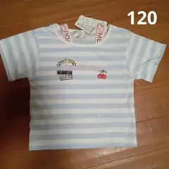 120 水色ボーダーTシャツ