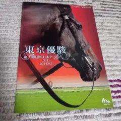 東京優駿 第81回 日本ダービー 競馬プログラム