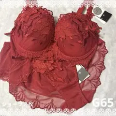 ワコール　サルート　34G　P-UPブラ＆ショーツ２枚　G65　新品　匿名配送