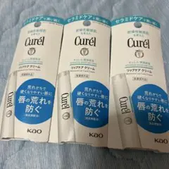 Item thumbnail for item 8dad3964-3959-4969-9261-6d1695b5a6b8