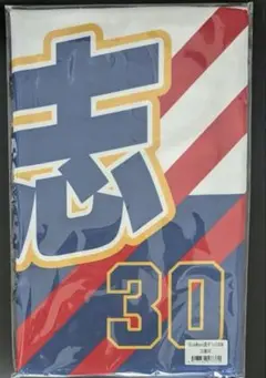 廣岡大志　ブルーウェーブタオル