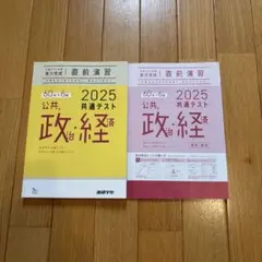 ベネッセ　2025 共通テスト直前演習　公共、政治経済