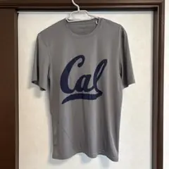 Champion Calロゴ Tシャツ Mサイズ グレー