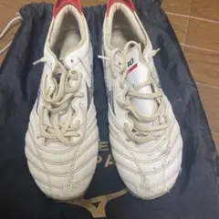 モレリアneo3