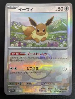 kncard77-0677 イーブイ　マスターボール　125/187