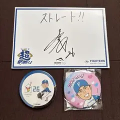 北海道日本ハムファイターズ 田中正義選手 缶バッジ2個セット