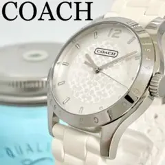 303 COACH コーチ時計 レディース腕時計 メンズ腕時計 箱付き 人気