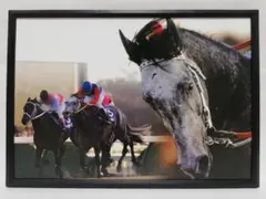 競馬.オグリキャップ.パネル.心に残る名馬