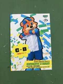 bbmカード　稲葉監督×カビー
