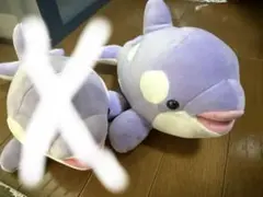 須磨シーワールド　オルカくじ　4等