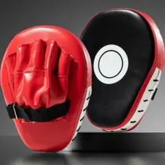 ボクシング パンチング ミット 空手格闘技 ボクササイズ トレーニング　新品
