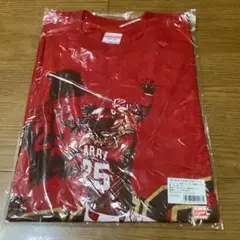 新井貴浩300本塁打記念Tシャツ Sサイズ