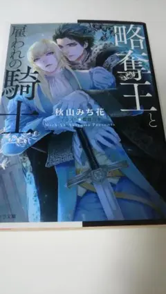 秋山みち花　略奪王と雇われの騎士　ＢＬ小説　雪路凹子