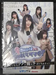 乃木坂46のクリアファイル❣️
