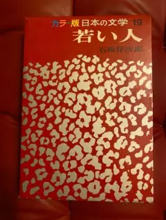 若い人 石坂洋次郎 1973年