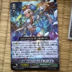 幻のラナンキュラス アージャ 3枚セット