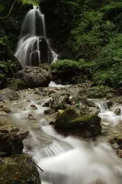 Item thumbnail for item 45e976d5-b567-44ee-a537-78c286f42b97