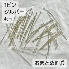 p0165 おまとめで279円に！在庫ラスト55本 Tピン 40mm シルバー