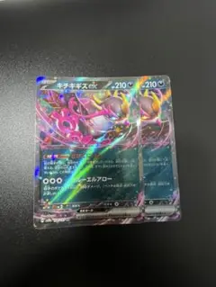 キチキギスex な2枚