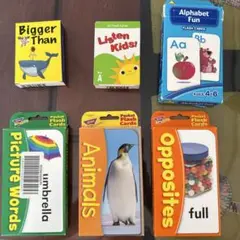 教育用フラッシュカード 5セット