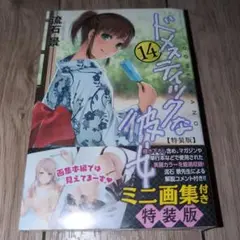 ドメスティックな彼女 14 特装版