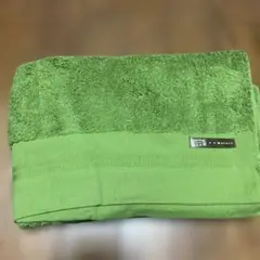 Item thumbnail for item 002d9370-bbb5-46c4-afcc-50988f321a01