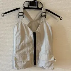 Item thumbnail for item 880733bb-2d8a-4676-ab97-acdec8df3c42