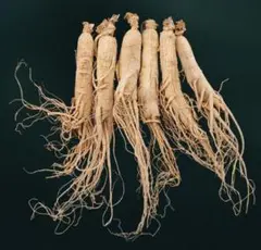 高麗人参林下人参長白山特産品乾燥品 125g