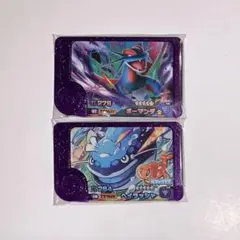 新品　ポケモンフレンダ　ボーマンダ　ヘイラッシャ　ドラゴンタイプ
