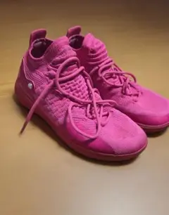 シューズ(女性用) Nike Zoom KD11 AP EP 8.5 2月15日(金)発売!ZOOM KD11 AP EP 通称