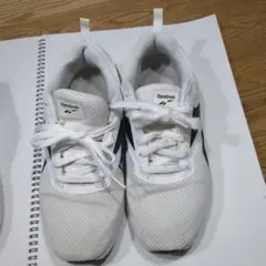 Item thumbnail for item ee1a6294-ee55-4657-ba07-dc542c6183e6