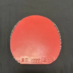 XIOM ヴェガジャパン