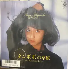 和モノ☆ 島田奈美 レコード 4枚セット 和モノ☆ 島田奈美 レコード 4枚セット
