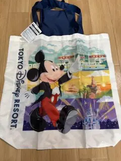 ディズニーリゾート　エコバッグ　未使用