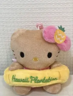 【新品未使用 実物写真】日焼けキティ ハワイ限定