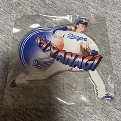 中日ドラゴンズ 柳裕也 Bigアクスタ